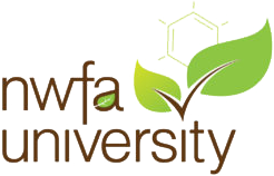 //bestfloor1.com/wp-content/uploads/2022/04/image5-e1649554409155.png